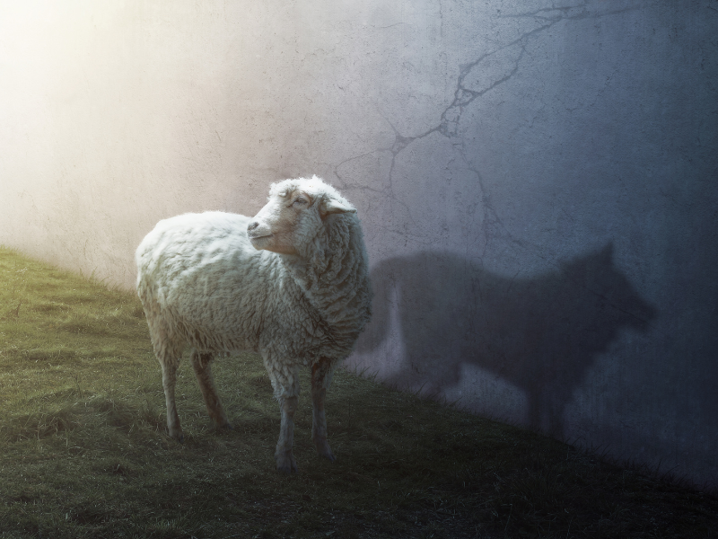 Bishops’ permission for Freemasonry was hiding in plain sight