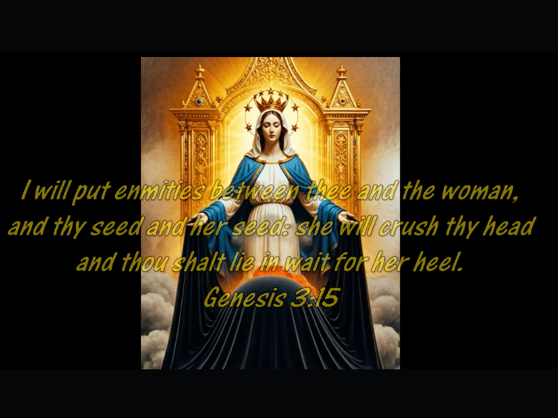 The SSPX, Catholic prophecies & the significance of global emergency