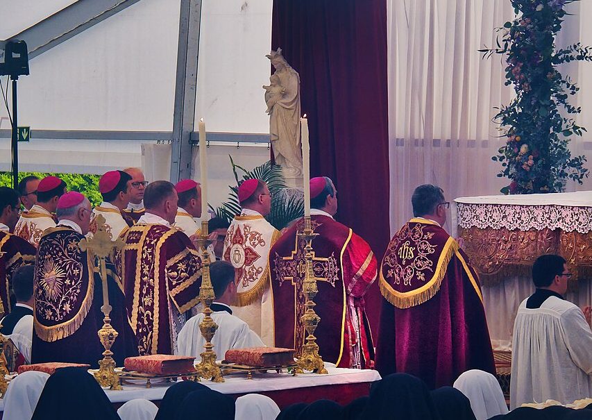 Bishop Schneider defends the SSPX